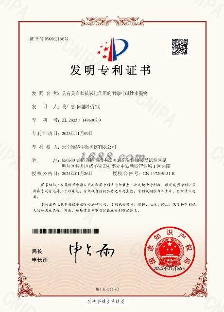 Invention patent certificate